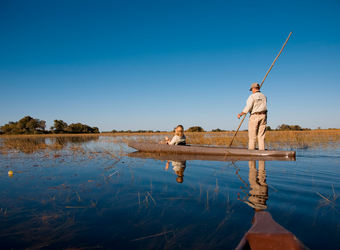 Photo: Botswana Safari Highlights