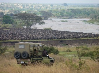 Photo: Wildlife Viewing & Activities