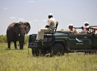 Photo: Wildlife Viewing & Activities