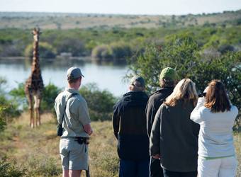 Photo: Conservation