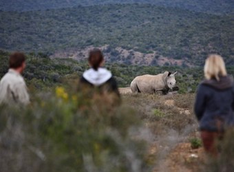 Photo: Wildlife Viewing & Activities