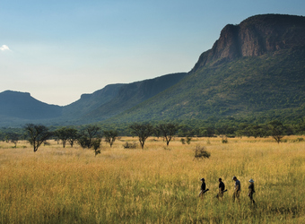 Photo: How to Include Marakele in Your Safari Itinerary