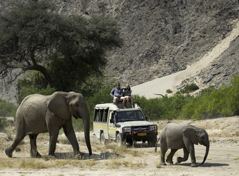 Photo: The Safari Experience