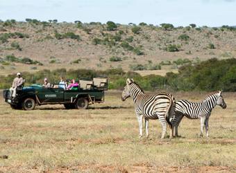 Photo: Wildlife Viewing & Activities