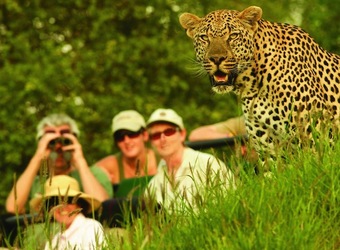 Photo: Wildlife Viewing & Activities