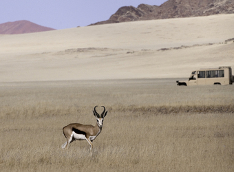 Photo: Wildlife Viewing & Activities