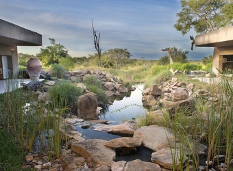 Photo: Conservation