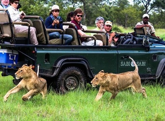 Photo: Wildlife Viewing & Activities