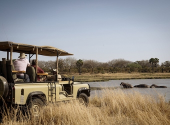 Photo: Wildlife Viewing & Activities