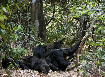 Photo: Wildlife Viewing & Activities