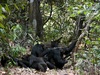 Photo: Wildlife Viewing & Activities
