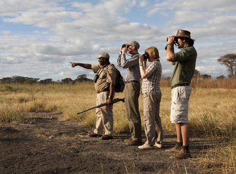 Photo: Conservation