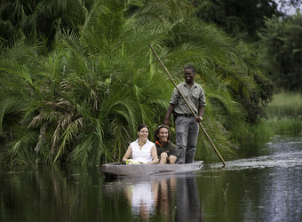 Photo: Wildlife Viewing & Activities