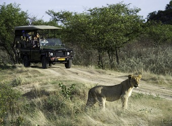 Photo: Wildlife Viewing & Activities