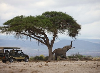 Photo: Wildlife Viewing & Activities
