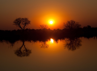Photo: Conservation in Botswana