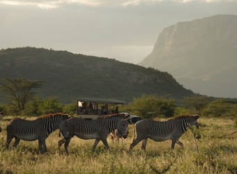 Photo: Wildlife Viewing & Activities