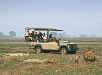 Photo: Wildlife Viewing & Activities