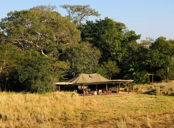 Photo: Conservation