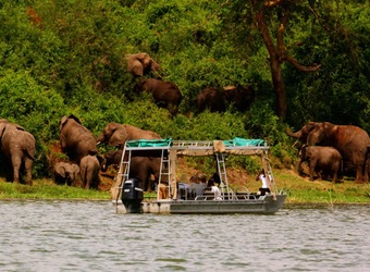 Photo: Wildlife Viewing & Activities