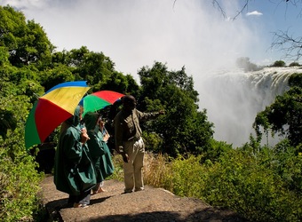 Photo: Wildlife Viewing & Activities