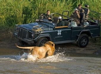 Photo: Wildlife Viewing & Activities