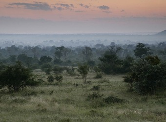 Photo: Conservation