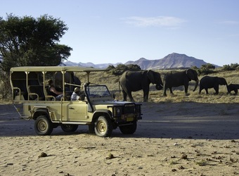 Photo: Wildlife Viewing & Activities