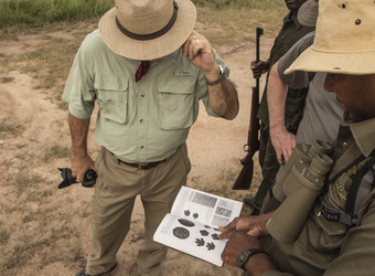 Photo: Conservation