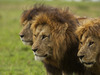 Photo: Wildlife Viewing & Activities