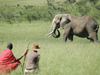 Photo: Conservation