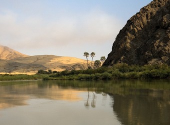 Two palm trees scrape towards the sky at the base of the juncture between dry arid sand dunes and dense tropical jungle in Hartmann Valley, Namibia