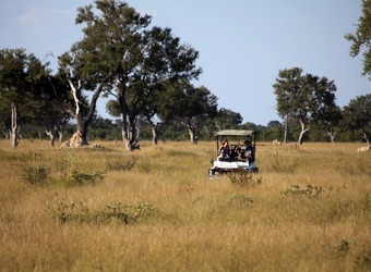 Safari vehicle trundles through the desert bush with safari guests in search of wildlife in Hwange National Park, Zimbabwe