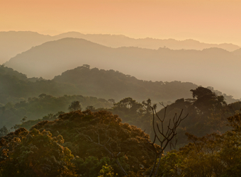 Photo: Conservation in Rwanda