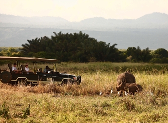   A group of tourists in a safari vehicle get up close and personal with a couple of rhinos in Meru National Park, Kenya