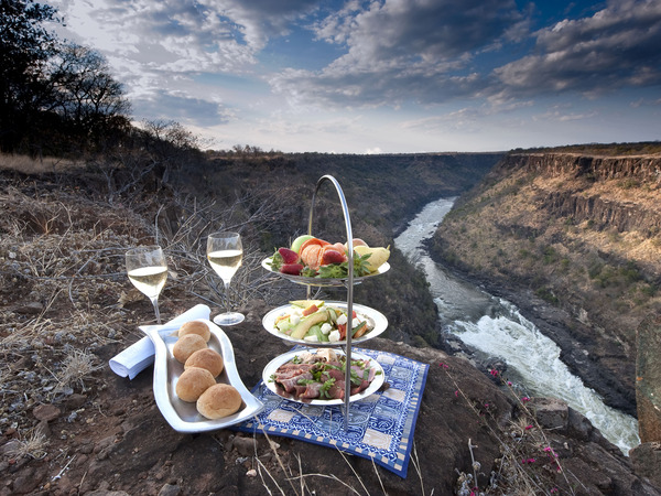 Large_elephant-camp-food