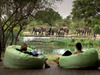 tanda tula elephants from deck