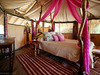 Elephant Watch Camp, vibrantly decorated tent bedroom with bright pink canopy encircling the bed and wilderness views all around, Kenya safari, Africa