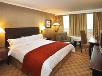 Grid_southern-sun-or-tambo-superior-king__640x480_