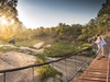 Dulini rope bridge viewing an elephant