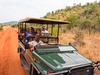 Molori Safari Lodge game drive