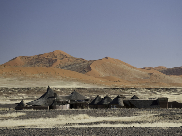 Large_kulala_desert-4