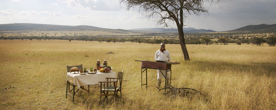 Private picnic dining offered in the middle of the Serengeti's plains, secluded private luxury dining, personal chef, sheltering tree, African safari