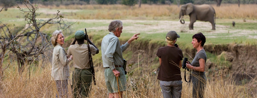 African safari, a group of guests with a tour guide views an elephant at close range, proper safari gear, smiling faces at Kuyenda safari camp