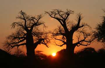 Photo of Johannesburg/Home