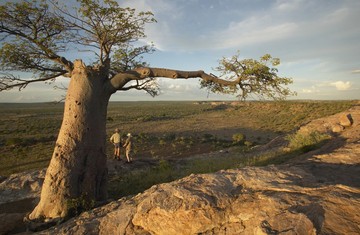 Photo of Mashatu Game Reserve