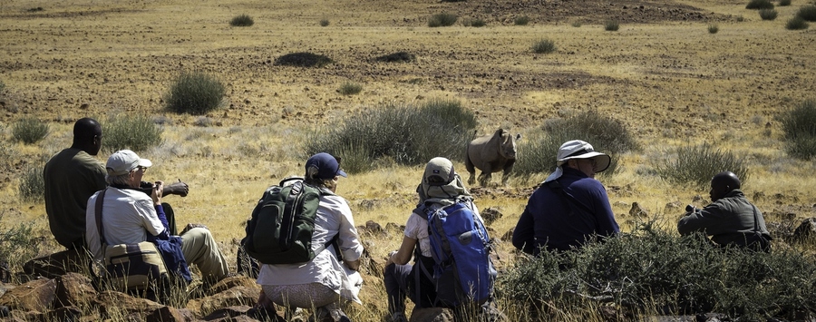 Huge_desert_rhino_camp_dana_allen