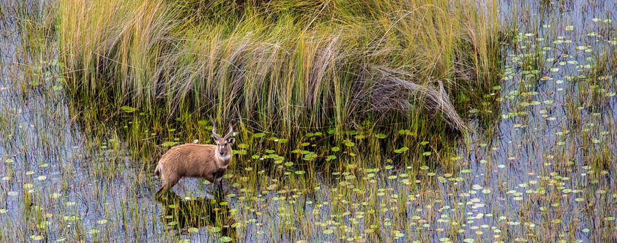 Huge_aerial_view_over_vumbura