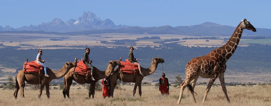 Huge_camel_ride