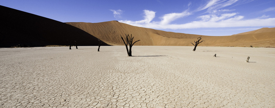 Huge_dana_allen_sossusvlei_crop